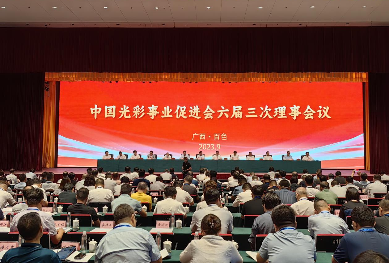 中國光彩會(huì)副會(huì)長